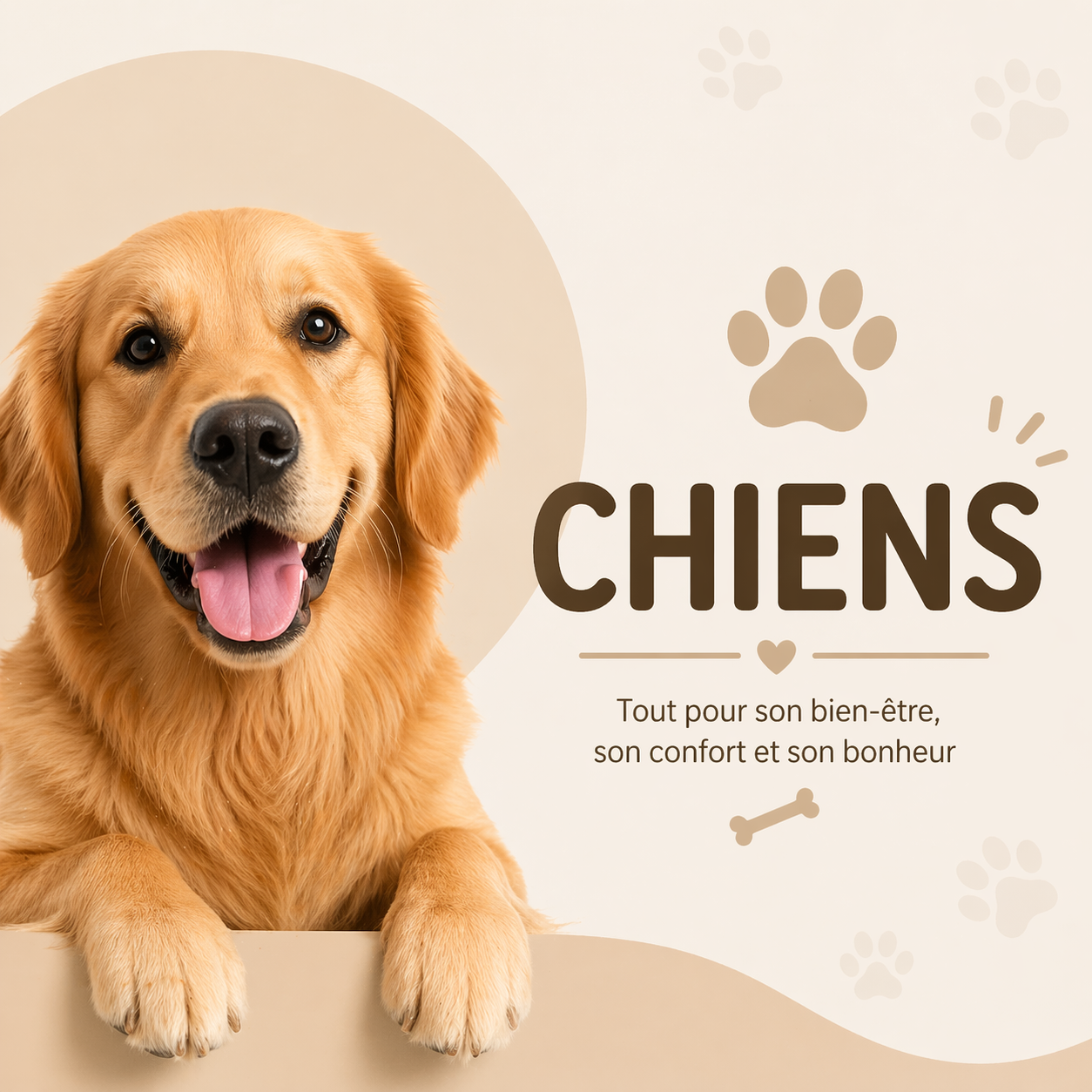 Chiens 🐕