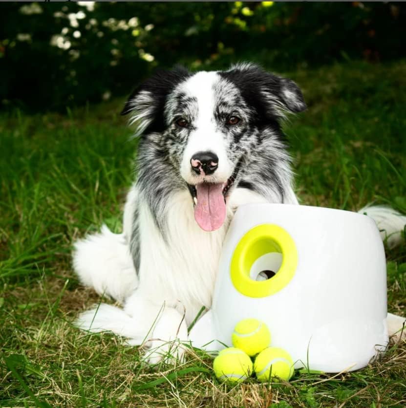 Lanceur de Balle Automatique pour Chien - Jeu infini & Anti-Ennui